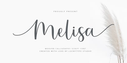 Melisa Script Font Poster 1
