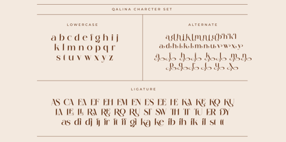 Qalina Font Poster 14