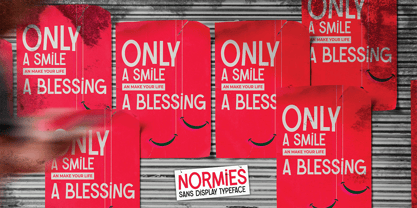 Normies Font Poster 2