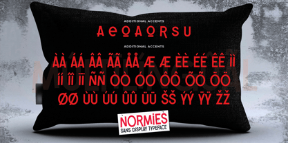 Normies Font Poster 7