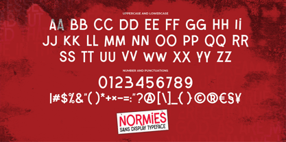 Normies Font Poster 6