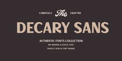Decary Sans Font Poster 1