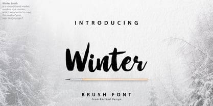 Winter Brush Fuente Póster 1