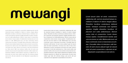 Mewangi Font Poster 4