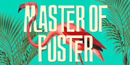 FT Master Of Poster Font Poster 1