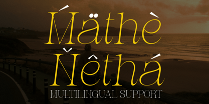 Mathe Netha Font Poster 9