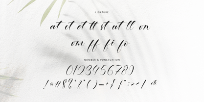 Ethereal Handwritten Font Poster 12