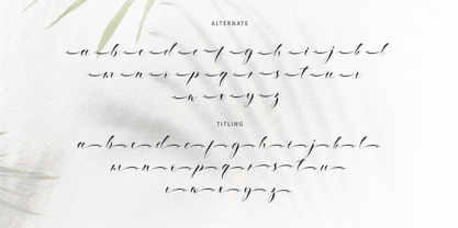 Ethereal Handwritten Font Poster 13