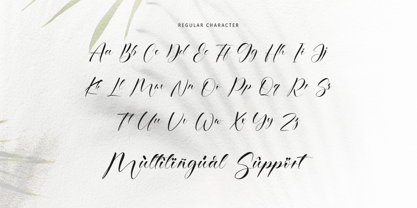 Ethereal Handwritten Font Poster 11