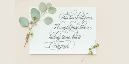 Donaparte script Font Poster 3