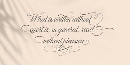 Donaparte script Font Poster 6