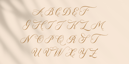 Donaparte script Font Poster 9