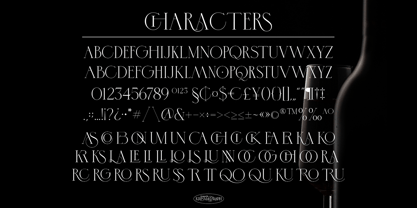 Virgoun Typeface Fuente Póster 6