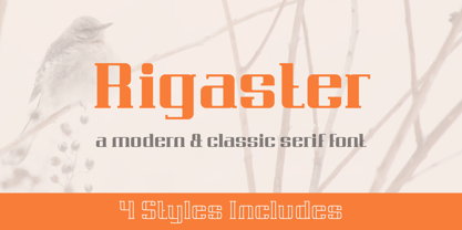 Rigaster Font Poster 1