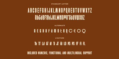 Maderon Font Poster 14