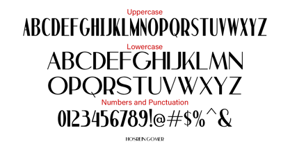 Hosrein Gomer Font Poster 6