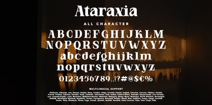 Ataraxia Police Affiche 7