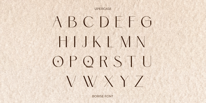 Borise Font Poster 2