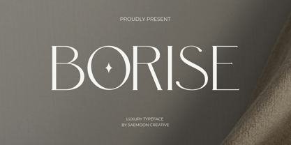 Borise Font Poster 1