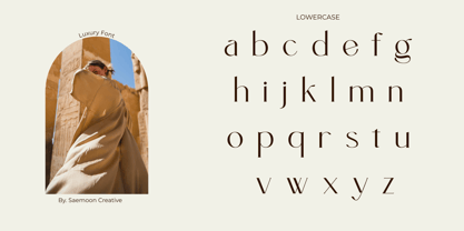 Borise Font Poster 5