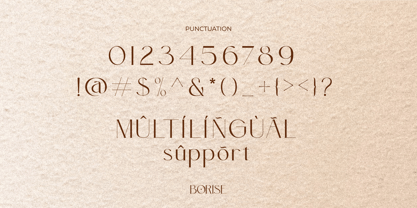 Borise Font Poster 3