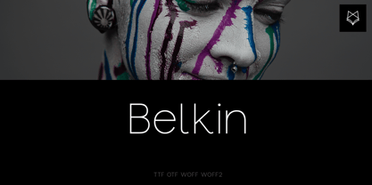 Belkin Display Typeface Police Poster 1