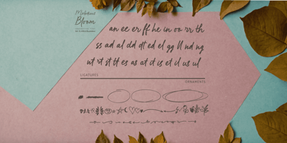 Melodious Bloom Font Poster 11