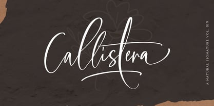 Callistera Script Font Poster 1