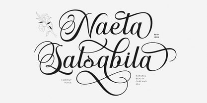 Emelina Scripts Font Poster 3