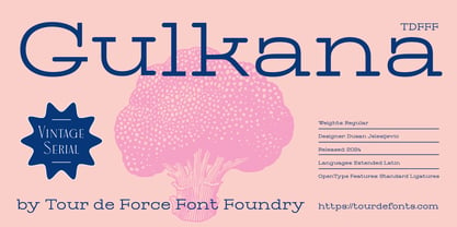 Gulkana Font Poster 1