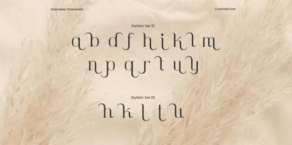 Crosmail Font Poster 10