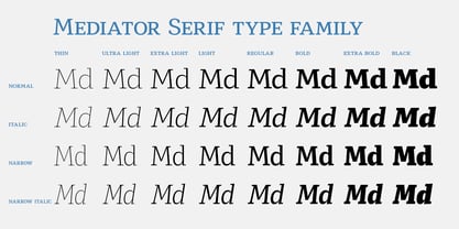 Mediator Serif Font Poster 5