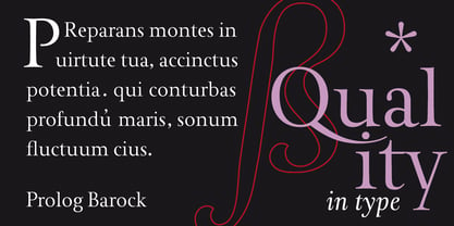 Prolog Barock Font Poster 8