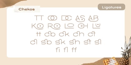 Chekos Font Poster 6