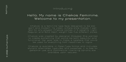 Chekos Font Poster 2