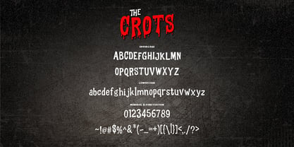 The crots Font Poster 5