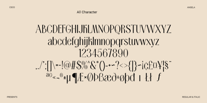 Ansela Font Poster 6