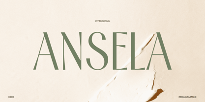 Ansela Font Poster 1