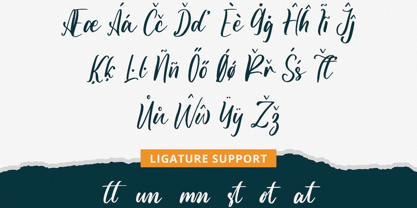 Alliette Font Poster 12