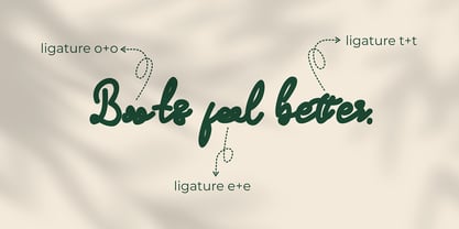 Serene Lines Font Poster 5