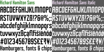 Richard Hamilton Sans Font Poster 6