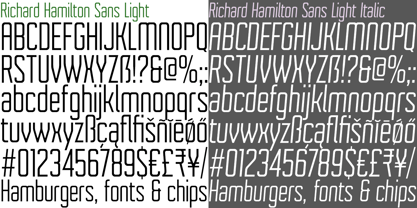 Richard Hamilton Sans Font Poster 7