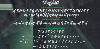 Disyoked Font Poster 7