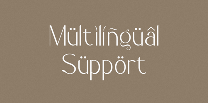 Quicklight Font Poster 11