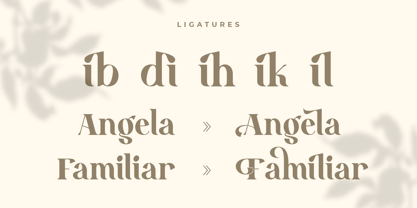 Bandung Style Font Poster 7