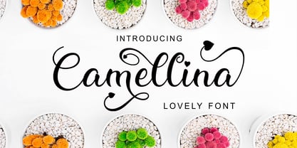 Camellina Font Poster 1