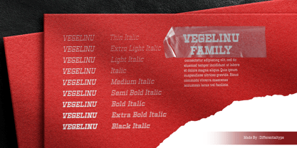 Vegelinu Variable Font Poster 9