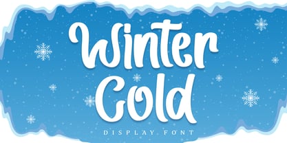 Winter Cold Font Poster 1