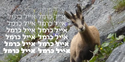 Isard Hebrew Font Poster 1