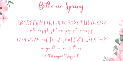 Bettaria Spring Font Poster 5
